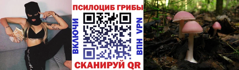 Псилоцибиновые грибы Psilocybe  где купить наркоту  Коряжма 